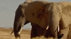 Visuel de L'aventure de la vie