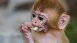 L'aventure de la vie