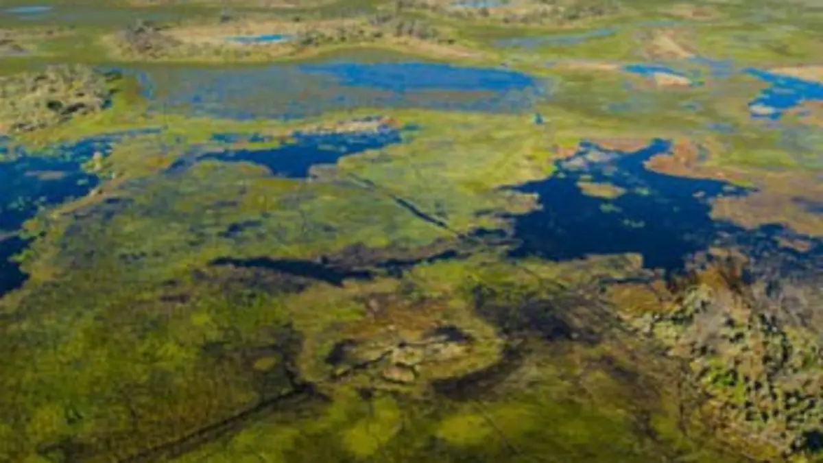 L'eau, un élément vital pour la faune et la flore d'Afrique E04 L'or bleu, un trésor convoité