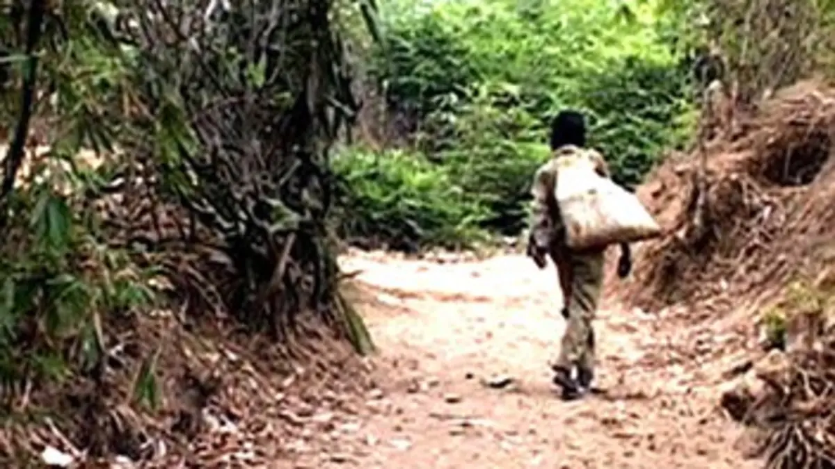 L'eau va à la rivière