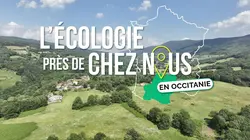 L'écologie près de chez nous