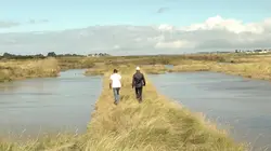 L'écologie près de chez nous Bretagne