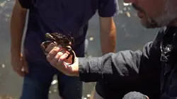 L'écologie près de chez nous En pays de Guérande