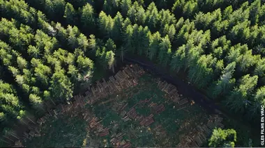 L'écologie près de chez nous En Auvergne