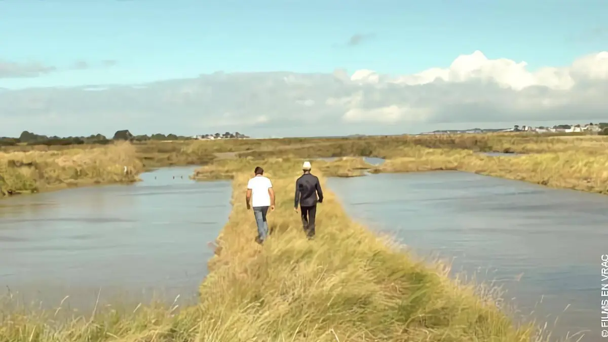 L'écologie près de chez nous, en pays de Guérande
