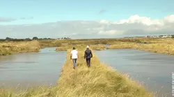 L'écologie près de chez nous, en pays de Guérande