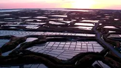 Visuel de L'écologie près de chez nous, en pays de Guérande