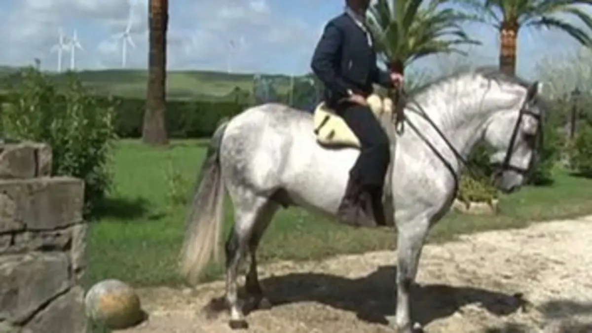 L'écurie d'Alvaro Domecq y Diez