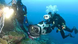 Visuel de L'eden de la mer