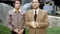 Visuel de L'éducation amoureuse de Valentin