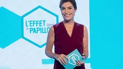 Visuel de L'effet papillon