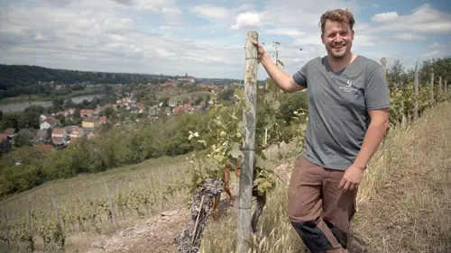 Casting L'Elbe vue du ciel De Pirna à Dessau