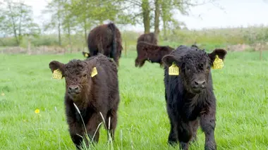 De Hambourg à la mer du Nord