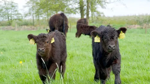 Épisodes de L'Elbe vue du ciel