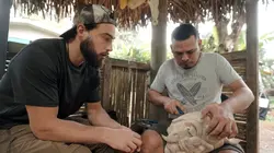 Sur Canal+ à 23h04 : L'enfant de la forêt