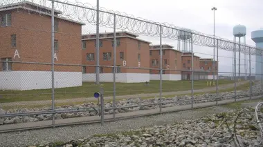 Prédateurs derrière les barreau