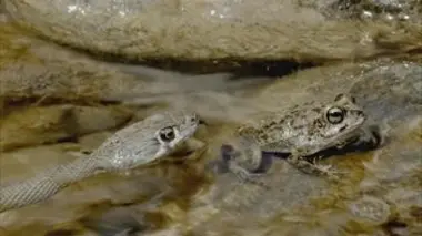 Les trésors de l'Oued