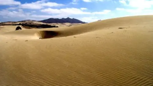 L'enfer du désert d'Arabie E03 La vie dans les dunes