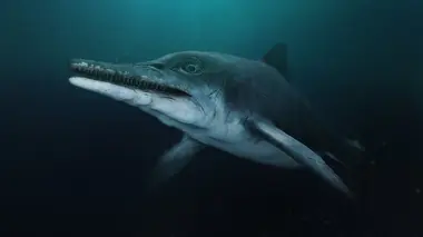 L'énigme du dragon des mers