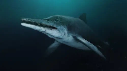 L'énigme du dragon des mers