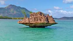 Visuel de L'envers du paradis