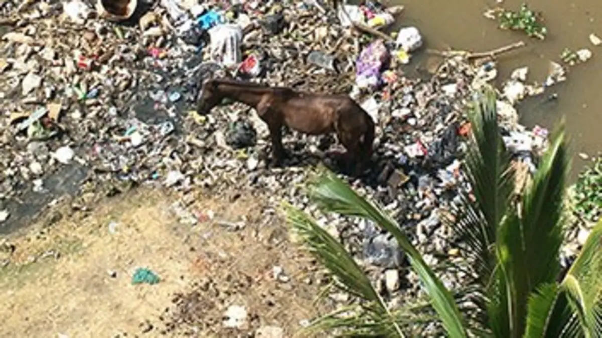 L'envers du paradis E04 République dominicaine