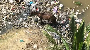 République dominicaine