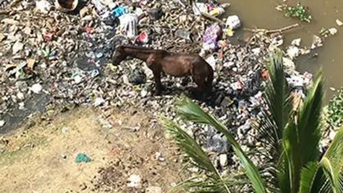 L'envers du paradis E04 République dominicaine