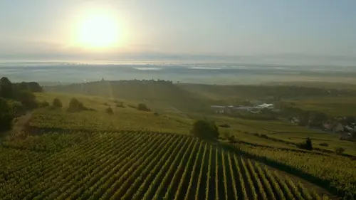 L'épopée des vignerons