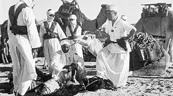 Visuel de L'escadron blanc