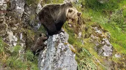 Visuel de L'Espagne sauvage