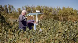 L'esprit du Mississippi