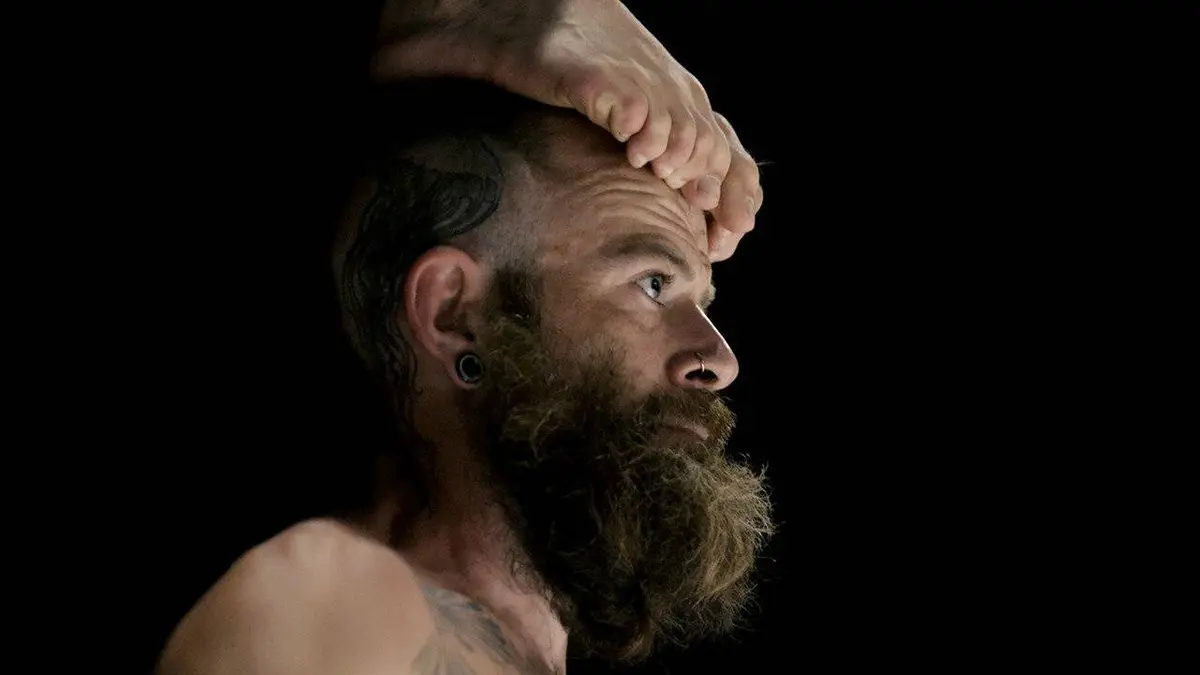 L'essaim : L'envolée de la compagnie XY