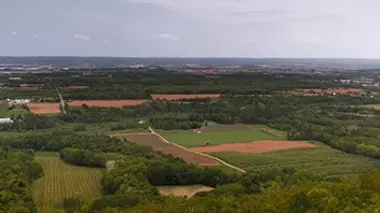 Le cycle des saisons