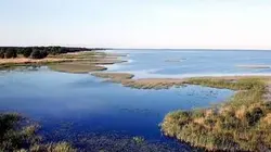 Visuel de L'estuaire de l'Oder