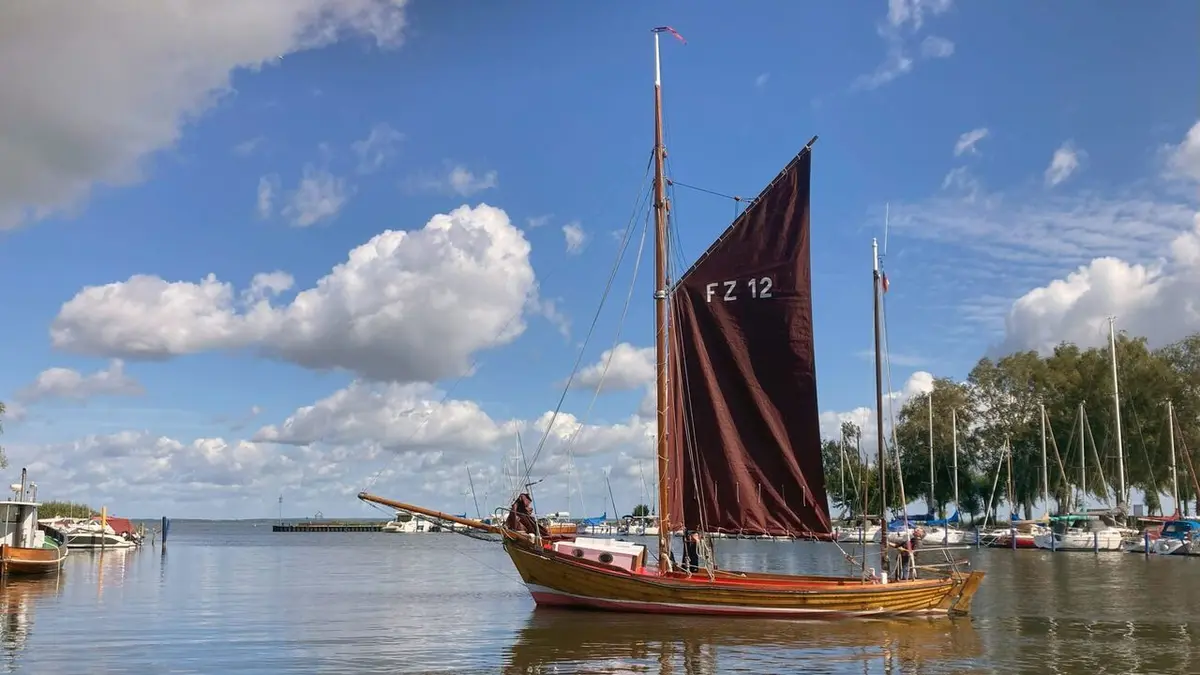 L'estuaire du fleuve Oder : Une lagune à l'écosystème foisonnant