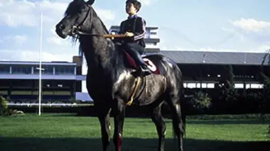 Recherche jument désespérément