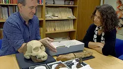 L'étrange affaire de l'homme de Piltdown