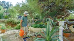 L'Europe dans tous ses (petits) Etats