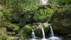 L'Europe dans tous ses (petits) Etats