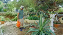 L'Europe dans tous ses (petits) Etats