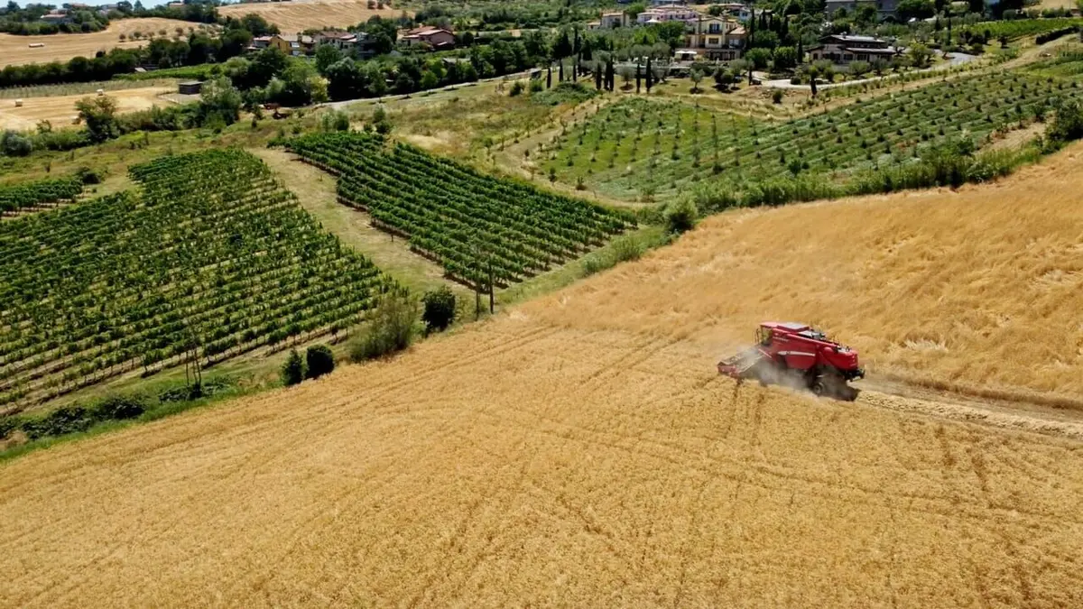 Casting L'Europe dans tous ses (petits) Etats Saint-Marin