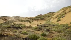 L'Europe sauvage Terres arides