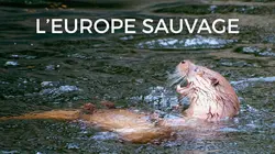 L'Europe sauvage Rivières, fleuves et océans