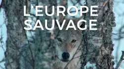 L'Europe sauvage Terres arides