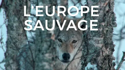 Épisodes de L'Europe sauvage