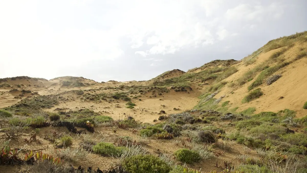 L'Europe sauvage Terres arides