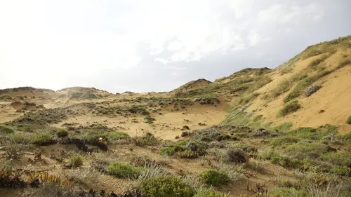 L'Europe sauvage Terres arides