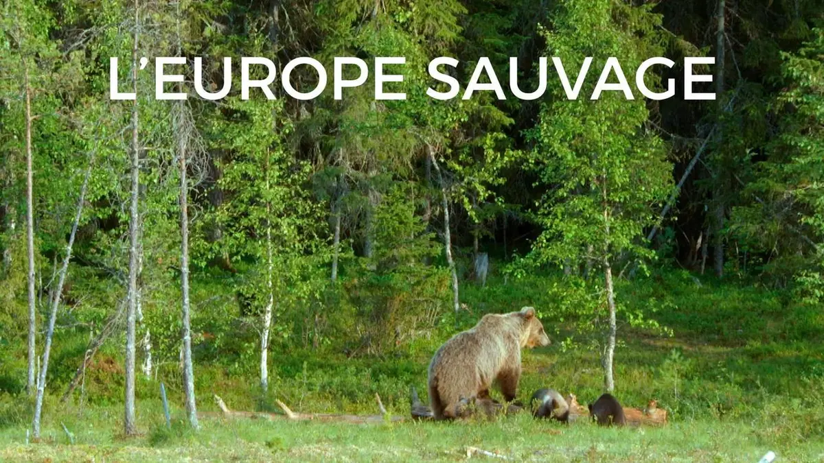 L'Europe sauvage Bois et forêts