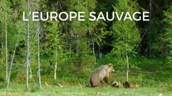 Visuel de L'Europe sauvage